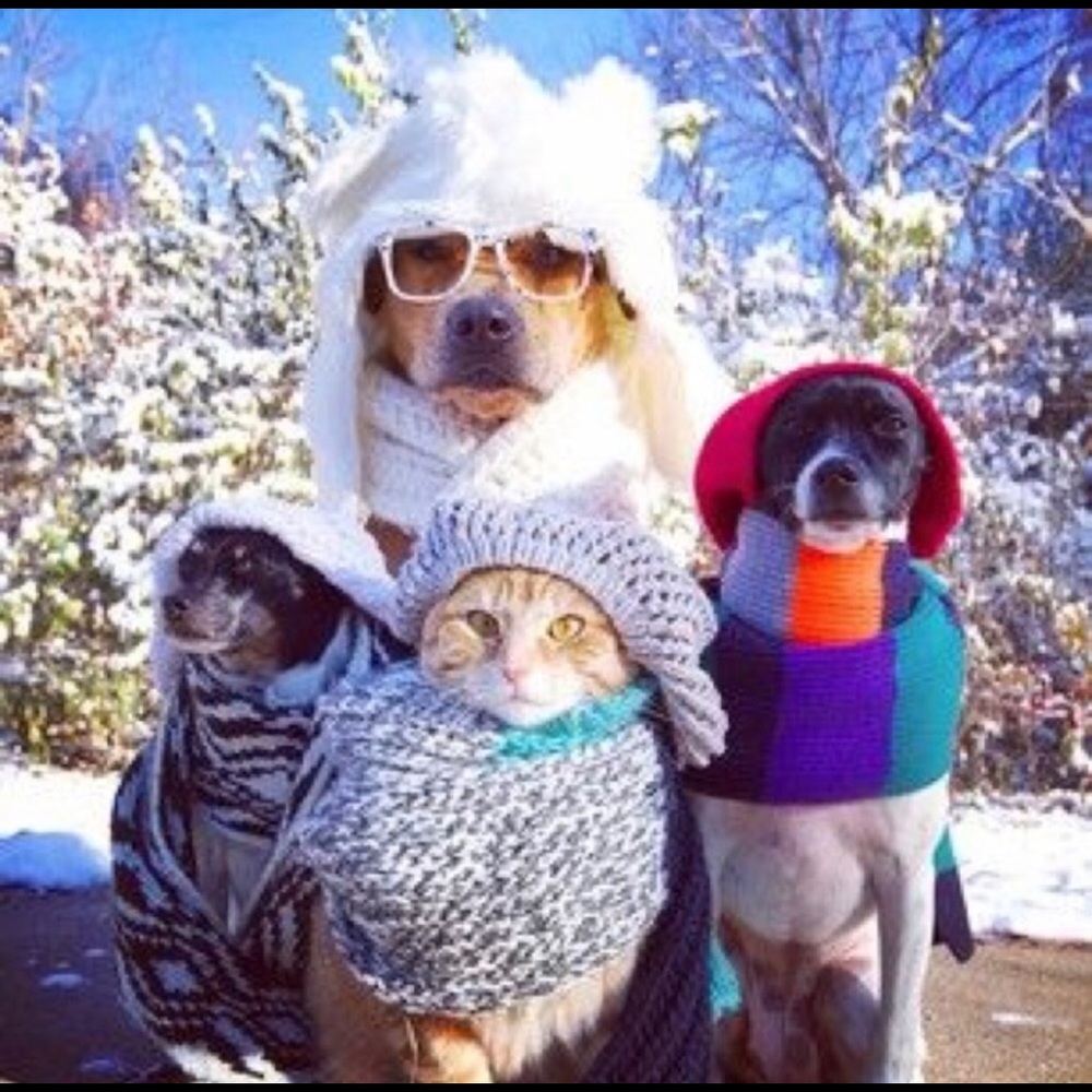 Bundle up!!!